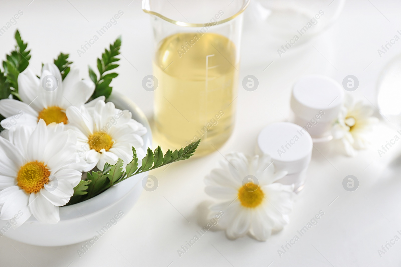 Photo of Skin care products, ingredients and laboratory glassware on white background. Dermatology research