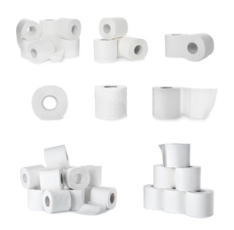 Set with rolls of toilet paper on white background