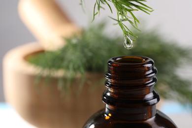 Photo of Dripping essential oil from dill into bottle on blurred background, closeup. Space for text