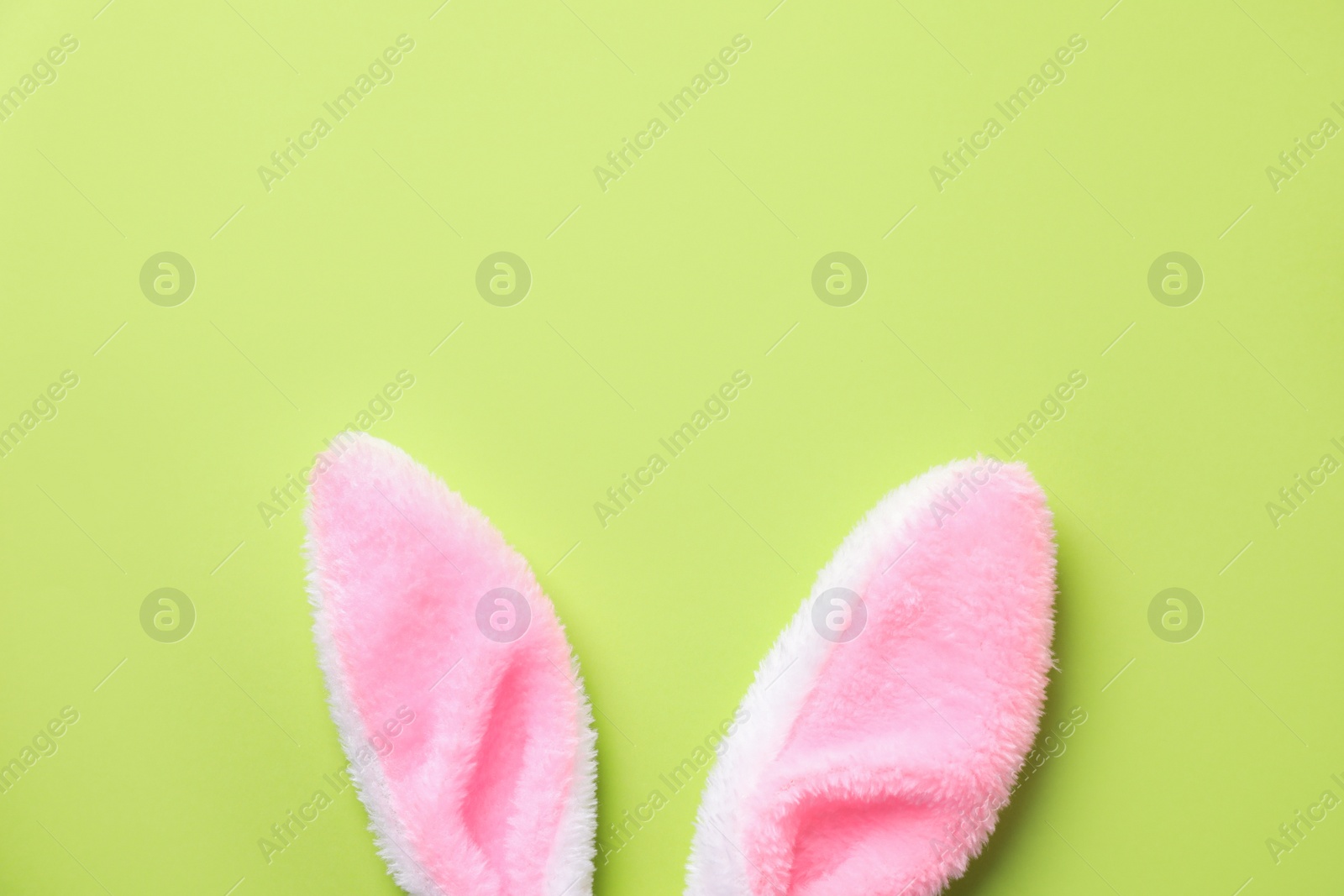 Photo of Easter bunny ears on green background, top view. Space for text