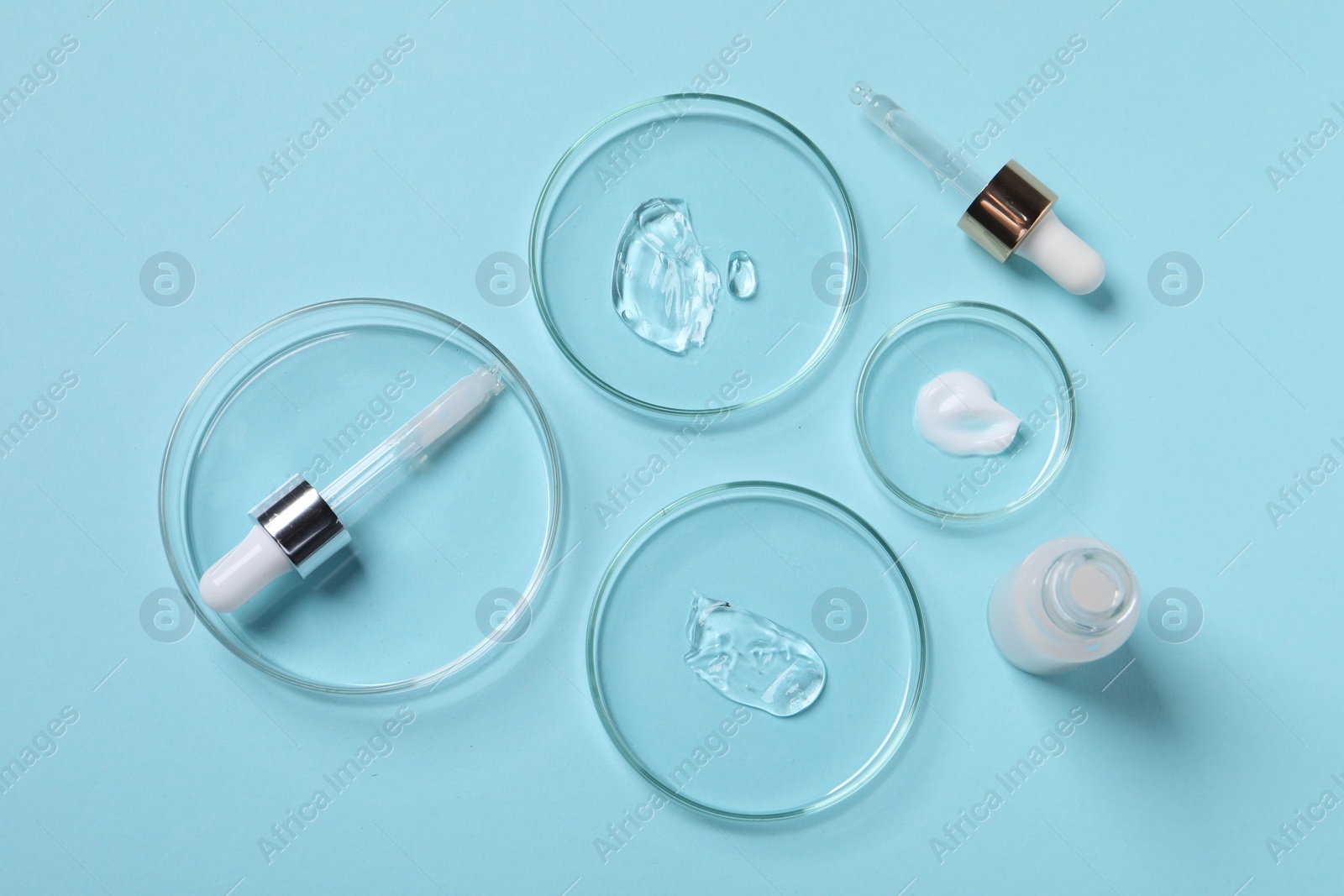 Photo of Petri dishes with samples of cosmetic serums, bottle and pipettes on light blue background, flat lay