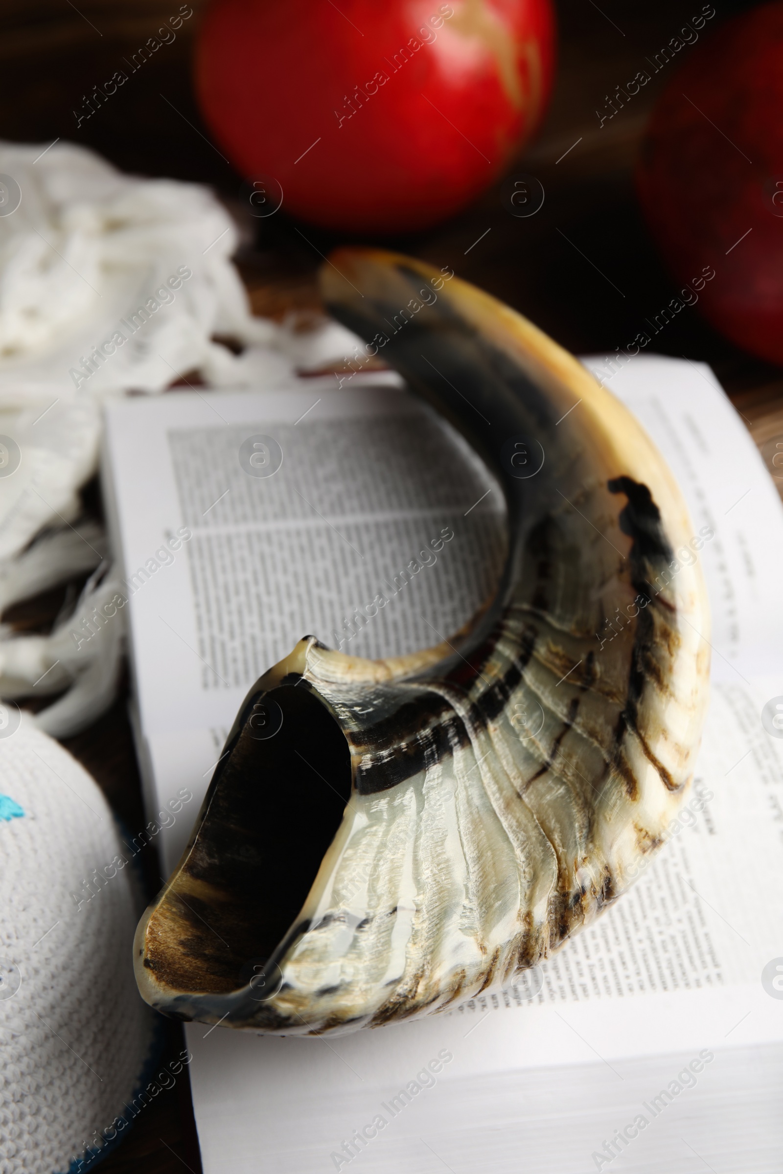 Photo of Shofar, kippah and open Torah on table, closeup. Rosh Hashanah celebration