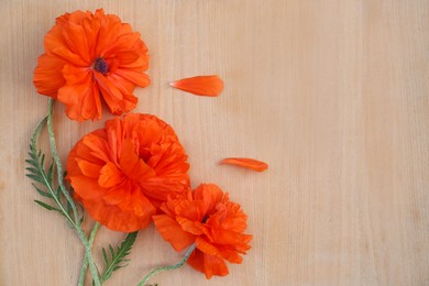 Photo of Beautiful bright red poppy flowers on wooden background, flat lay. Space for text