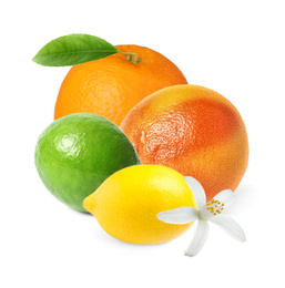 Image of Different citrus fruits with leaves on white background 