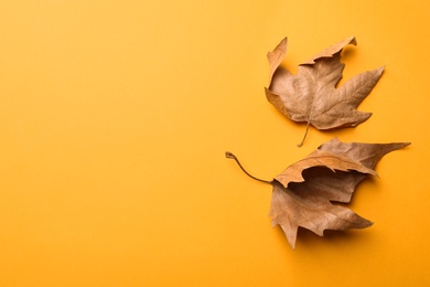 Dry autumn leaves on yellow background, flat lay. Space for text