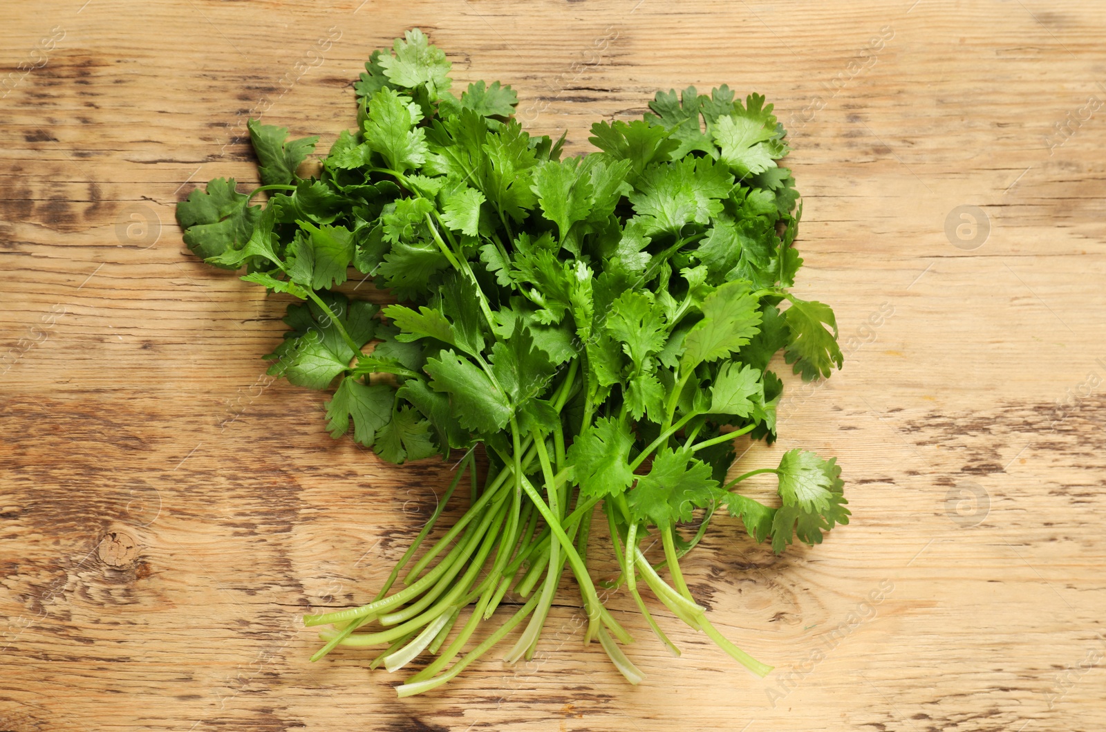 Photo of Bunch of fresh aromatic cilantro on wooden table, top view