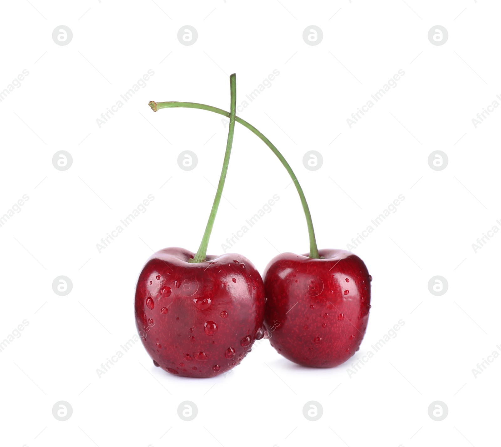 Photo of Wet ripe sweet cherries isolated on white