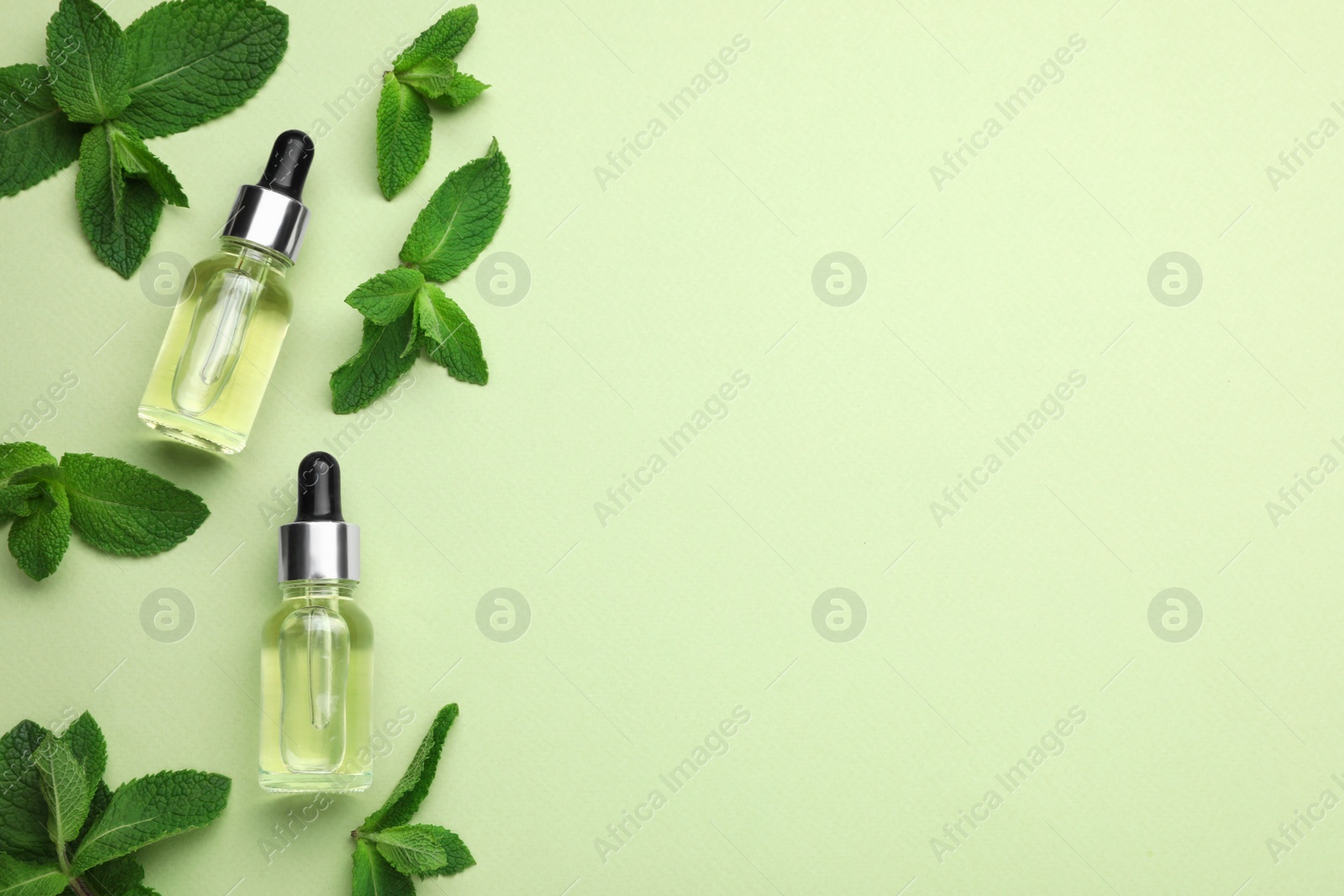 Photo of Bottles of essential oil and mint on light green background, flat lay. Space for text