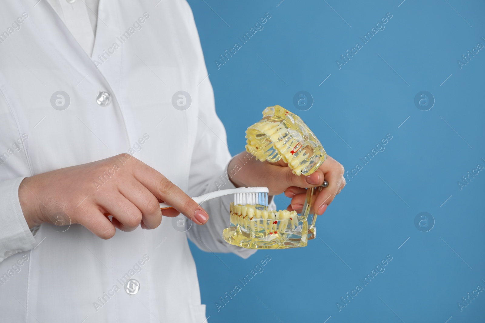 Photo of Dentist with jaws model and toothbrush on light blue background, closeup. Oral care demonstration