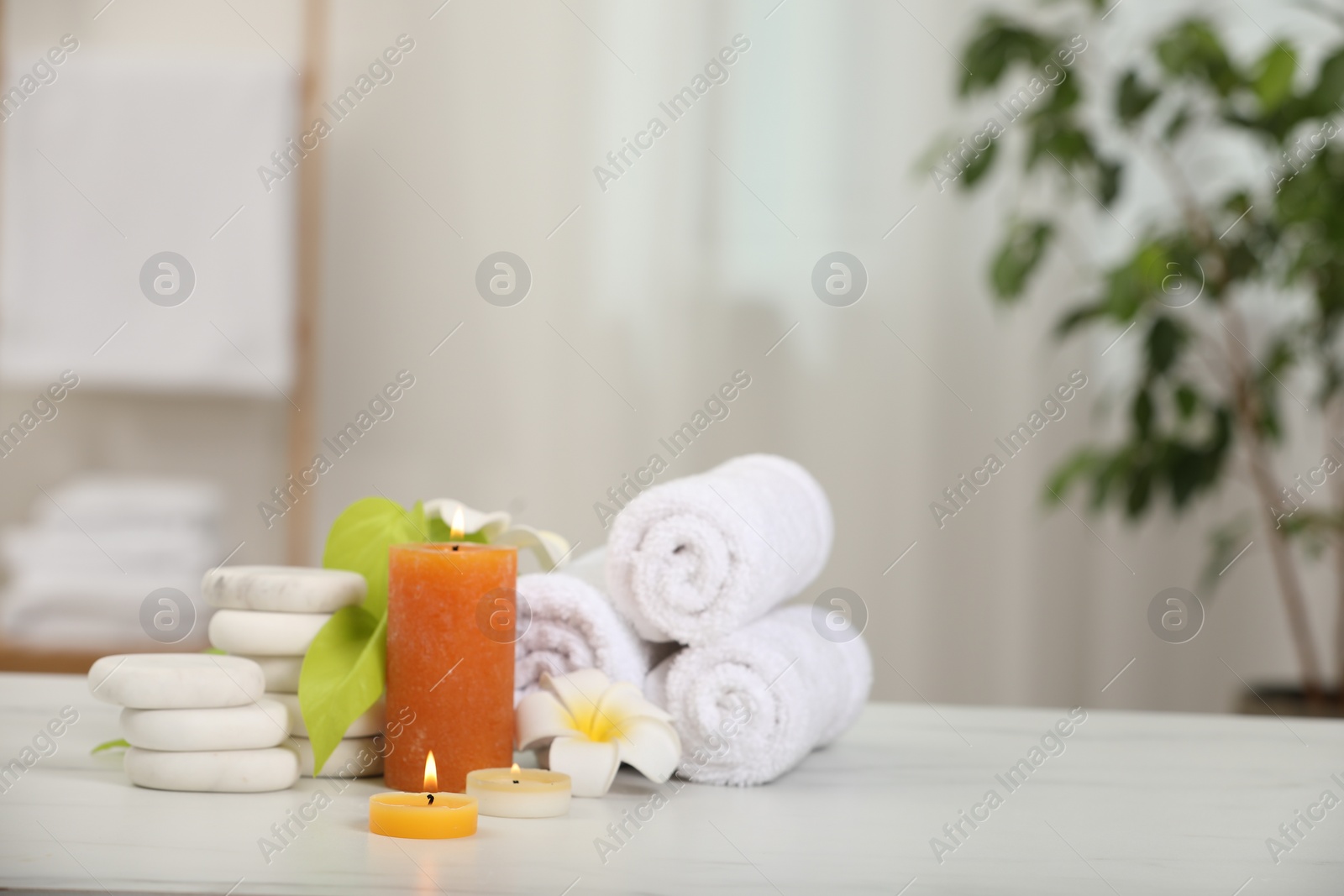 Photo of Composition with different spa products and plumeria flowers on white marble table indoors, space for text