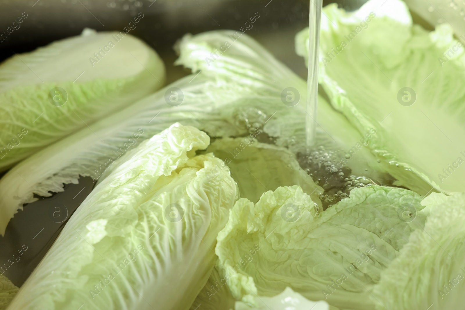 Photo of Pouring tap water on Chinese cabbage leaves in sink, closeup