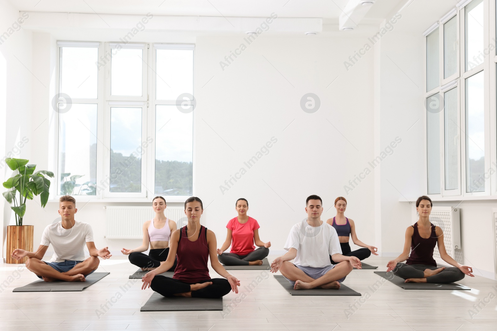 Photo of Group of people practicing yoga on mats indoors, space for text