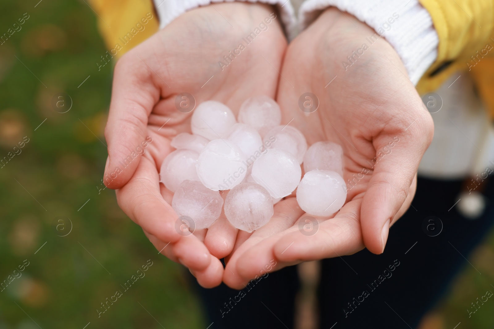 Photo of Woman holding hail grains after thunderstorm outdoors, closeup