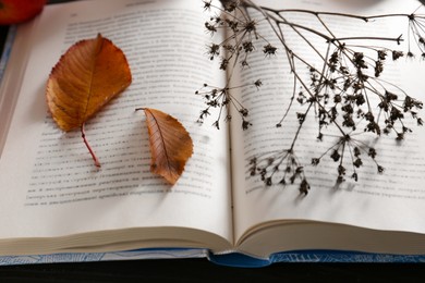 Photo of Book with dried flower and autumn leaves as bookmark, closeup
