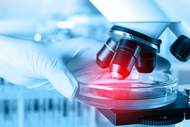 Scientist putting Petri dish with liquid under microscope, closeup. Laboratory analysis