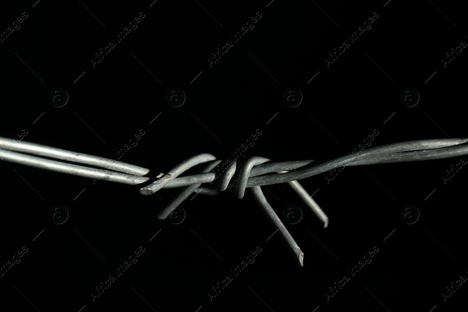 Photo of Metal barbed wire on black background, closeup