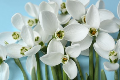 Photo of Beautiful snowdrops on light blue background, closeup