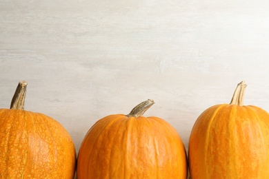 Orange pumpkins with space for text against light background. Autumn holidays