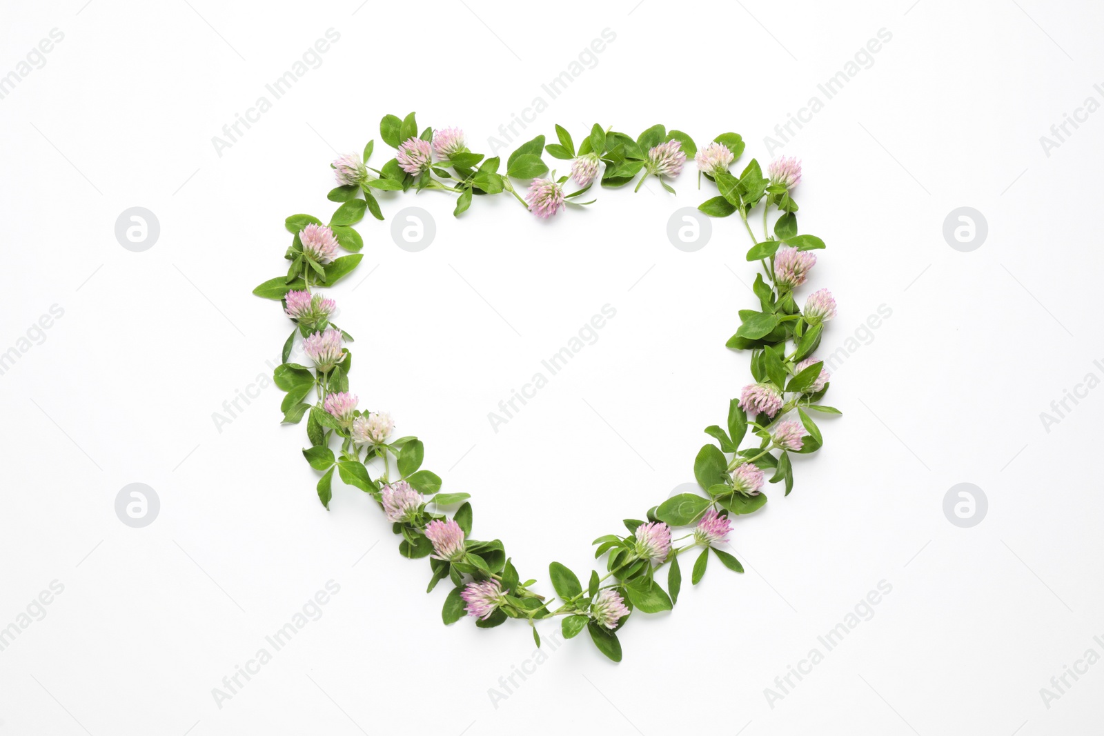 Photo of Heart shaped frame of beautiful clover flowers with green leaves on white background, top view. Space for text