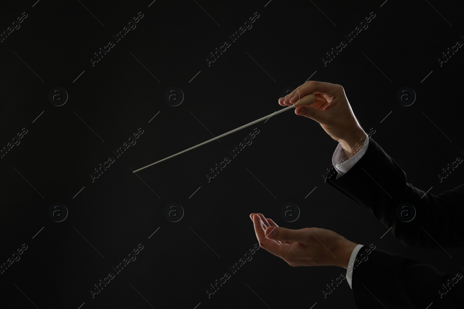 Photo of Professional conductor with baton on black background, closeup. Space for text