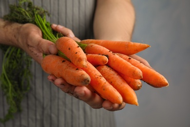 Young woman holding ripe carrots on color background, closeup