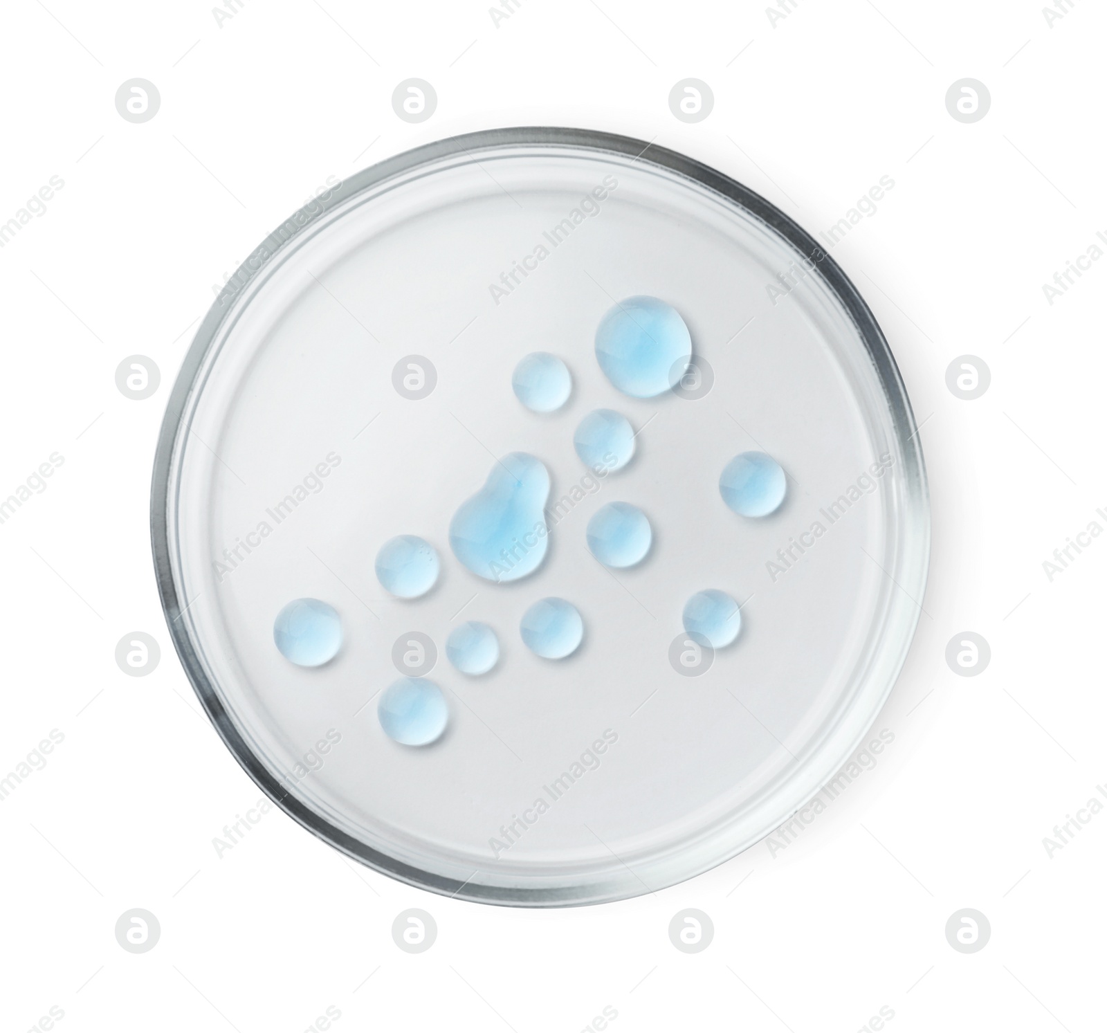Photo of Petri dish with color liquid isolated on white, top view