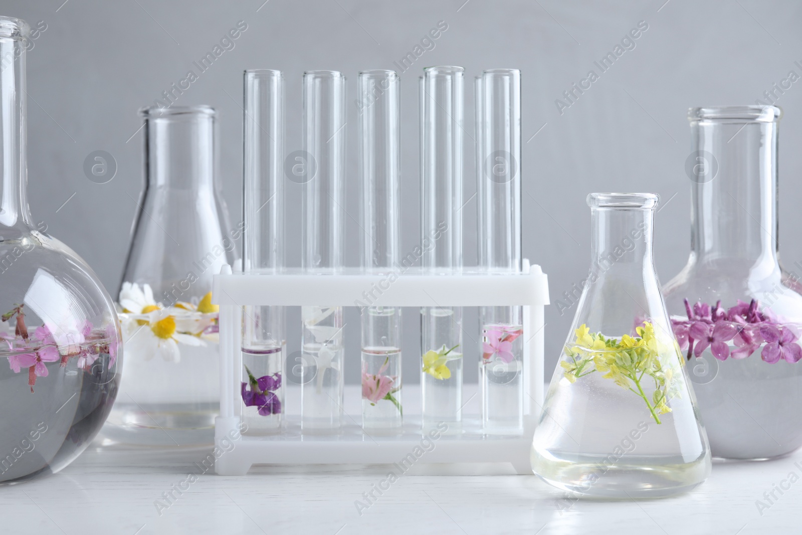 Photo of Laboratory glassware with flowers on white wooden table. Extracting essential oil for perfumery and cosmetics