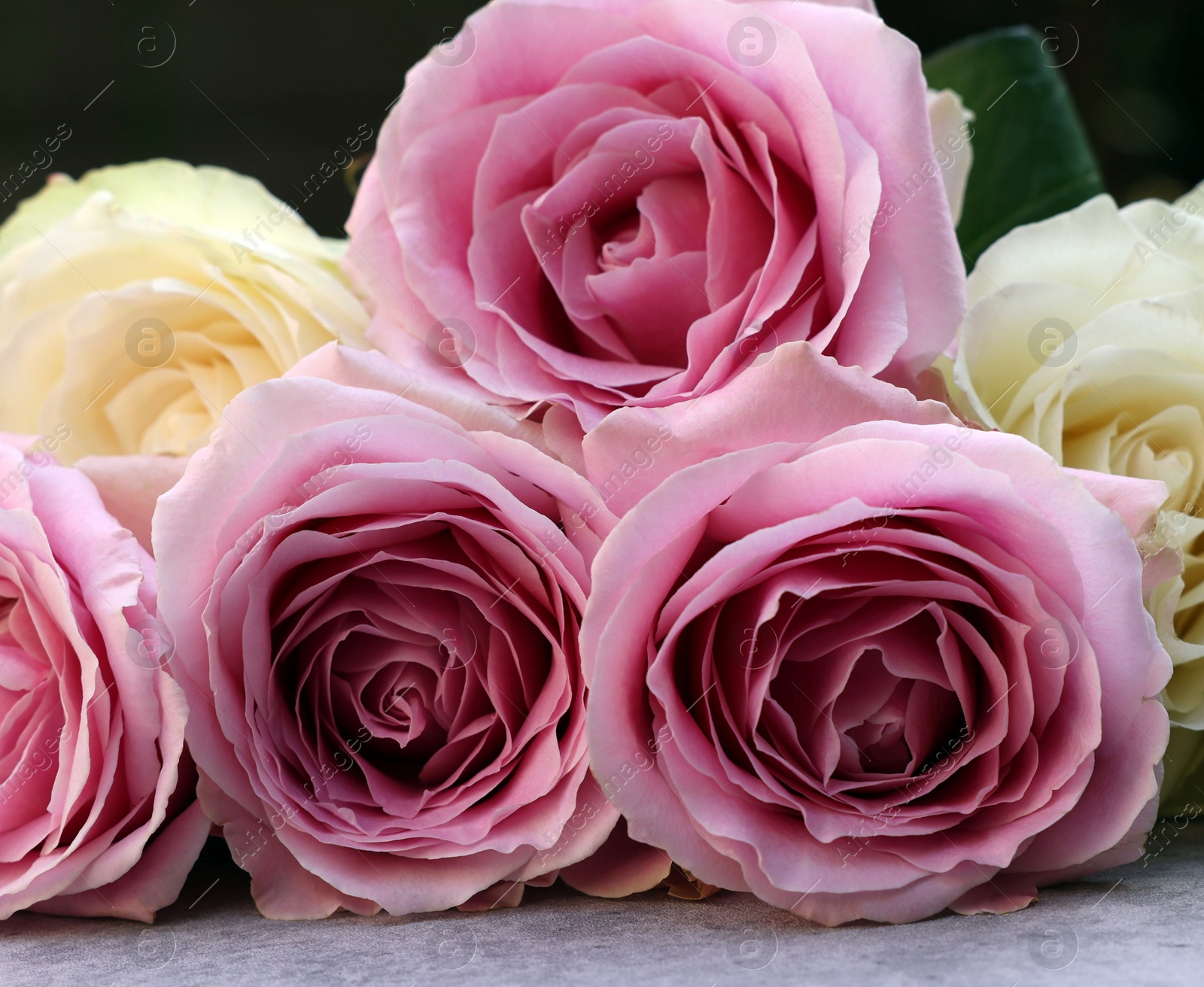 Photo of Beautiful bouquet of roses on light grey table outdoors, closeup