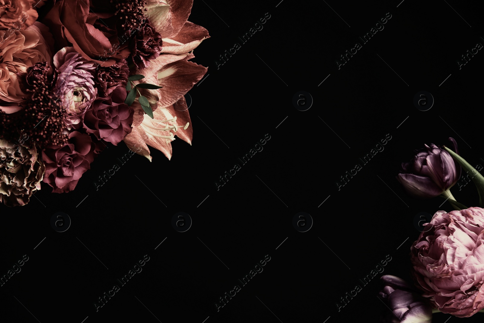 Photo of Beautiful bouquet of different flowers on black background, space for text. Floral card design with dark vintage effect