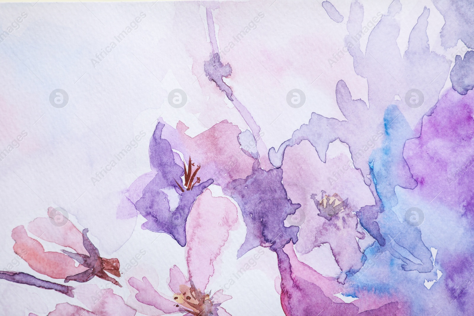 Photo of Closeup view of beautiful floral watercolor painting