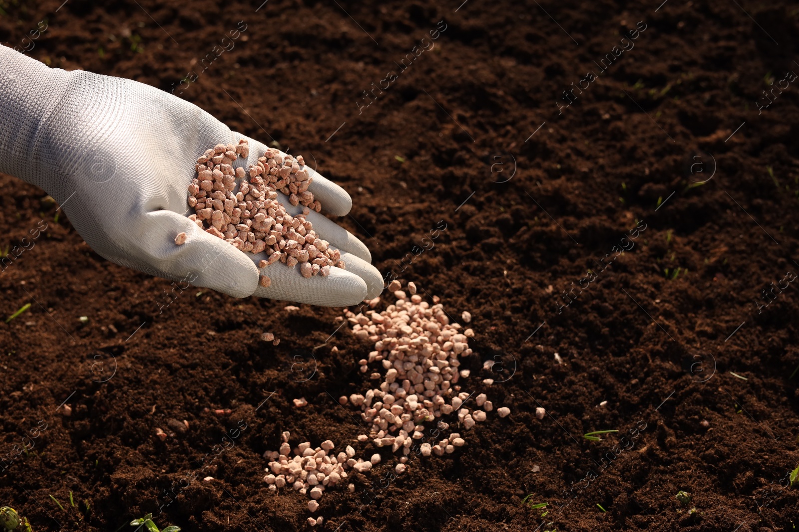 Photo of Man fertilizing soil, closeup. Space for text