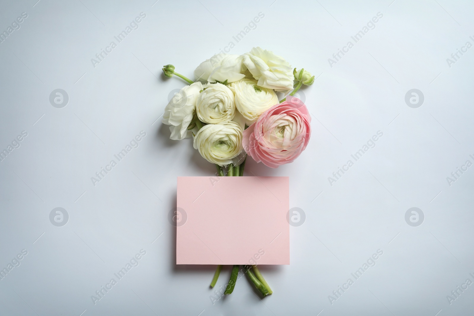 Photo of Beautiful ranunculus flowers with blank card on white background