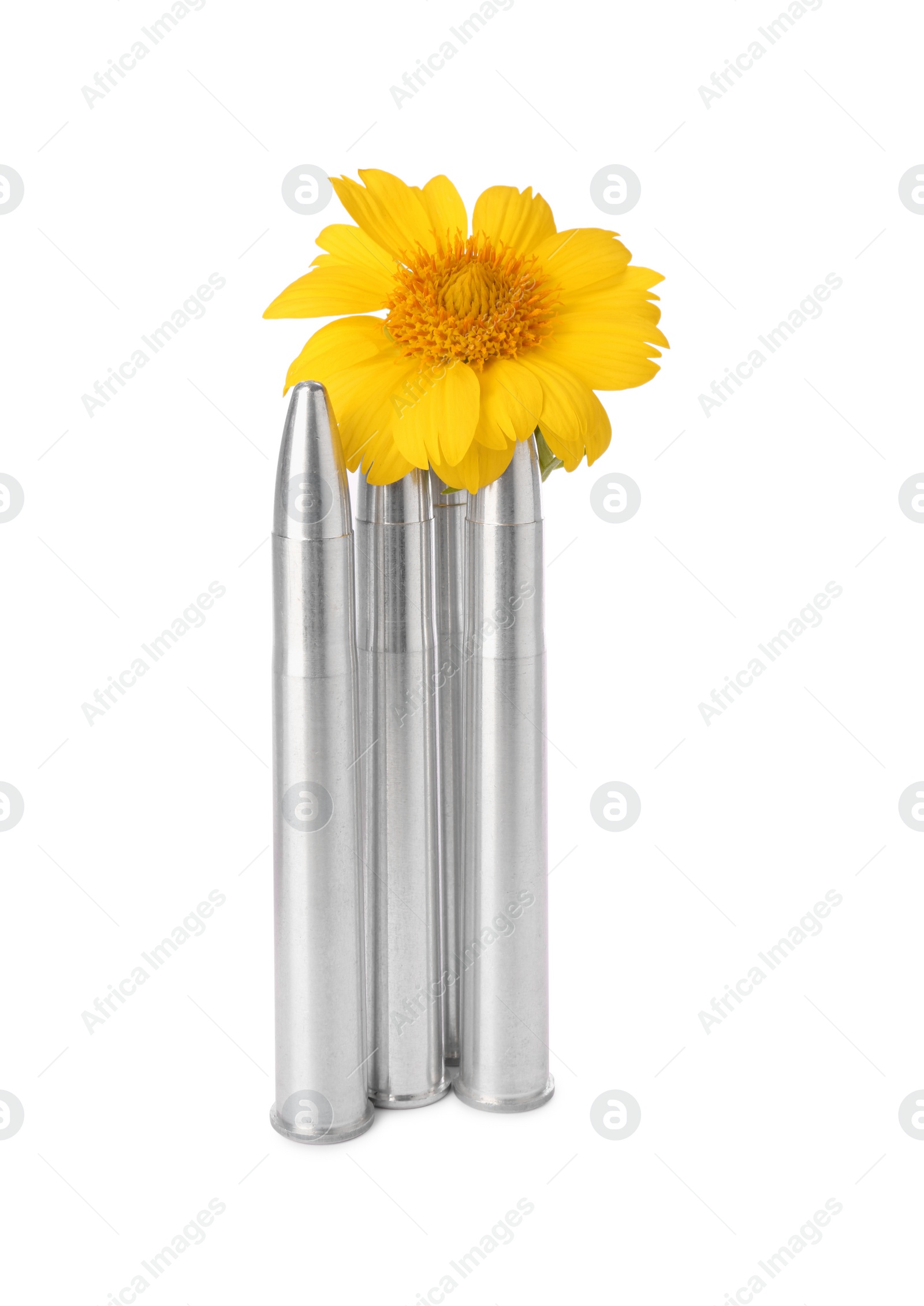 Photo of Bullets and beautiful flower isolated on white