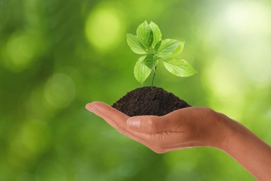 Image of Woman holding small plant in soil on blurred background, closeup. Ecology protection