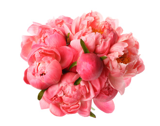 Photo of Beautiful pink peony bouquet isolated on white