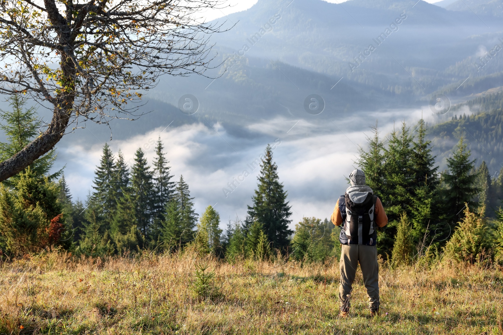 Photo of Tourist with backpack in mountains on sunny day, back view. Space for text