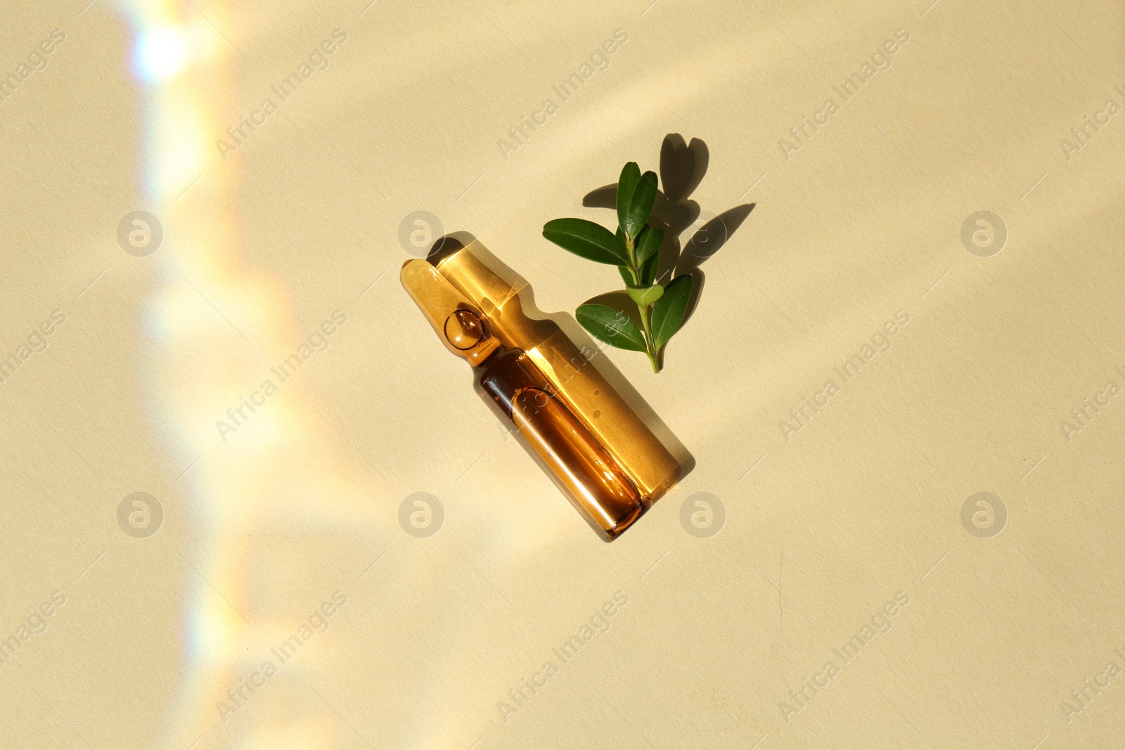 Photo of Skincare ampoule and leaves in sunlight on beige background, top view