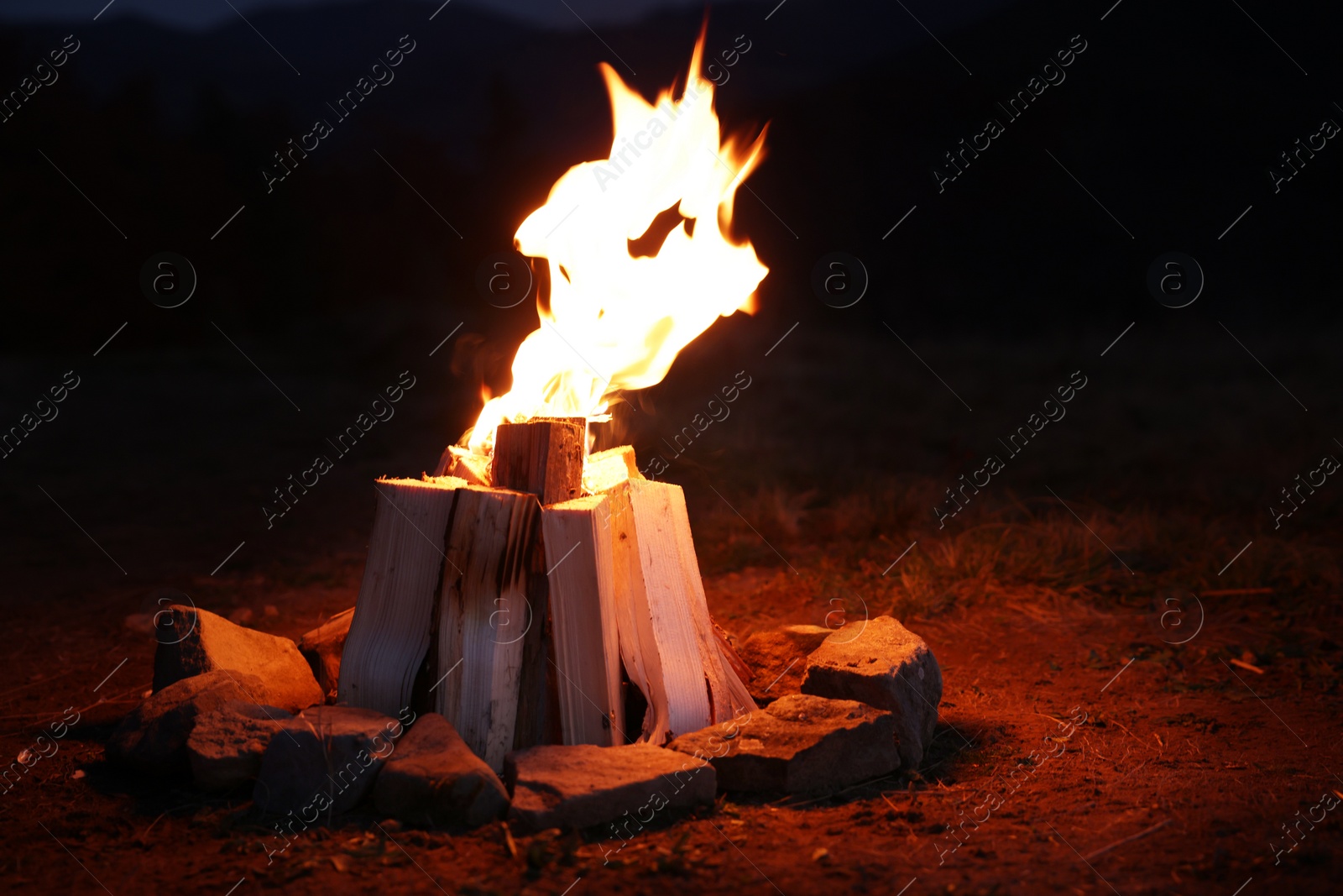 Photo of Beautiful bonfire with burning wood outdoors at night