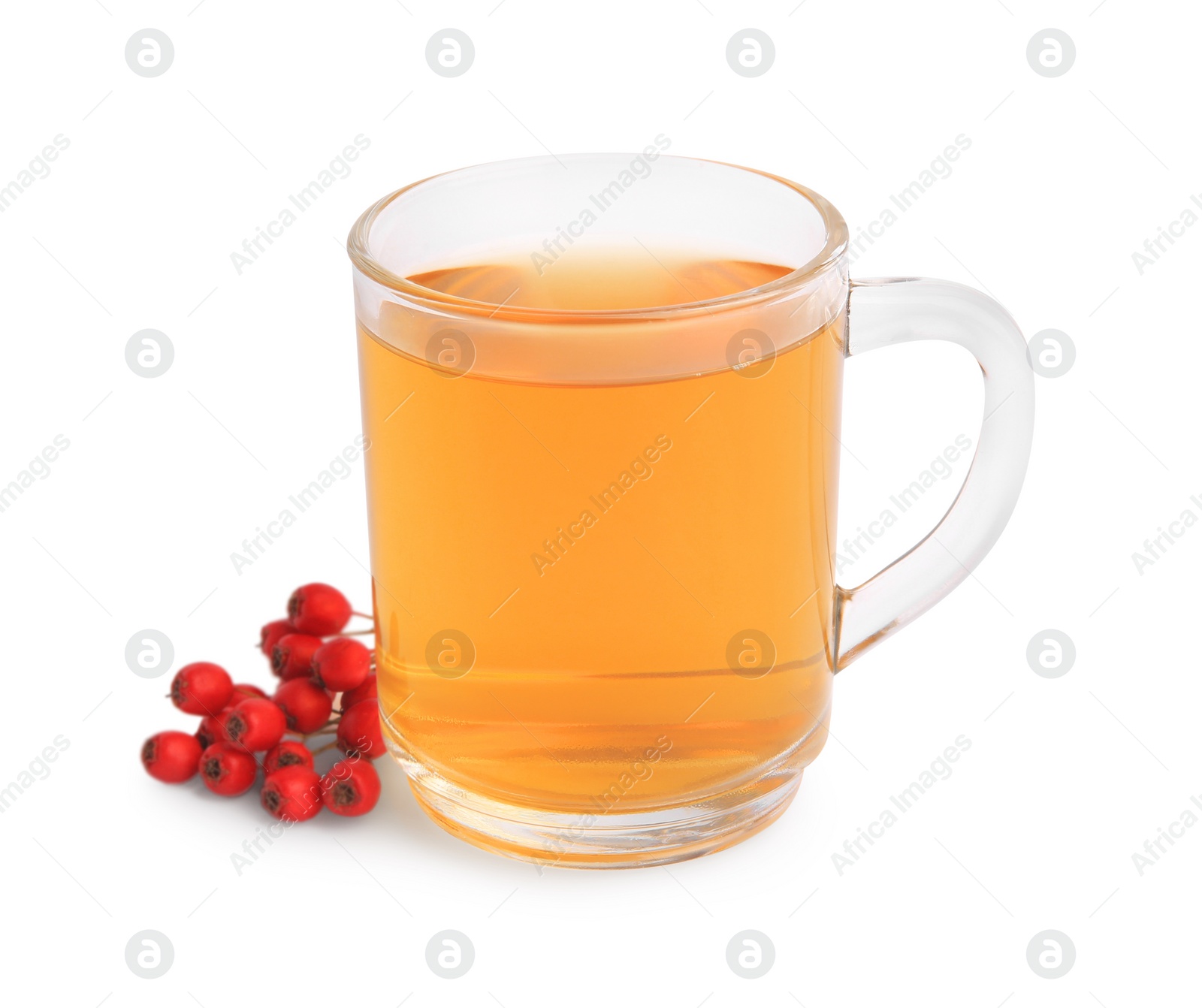 Photo of Cup with hawthorn tea and berries isolated on white