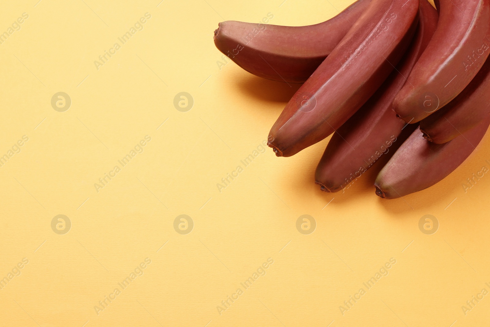 Photo of Tasty red baby bananas on yellow background, top view. Space for text