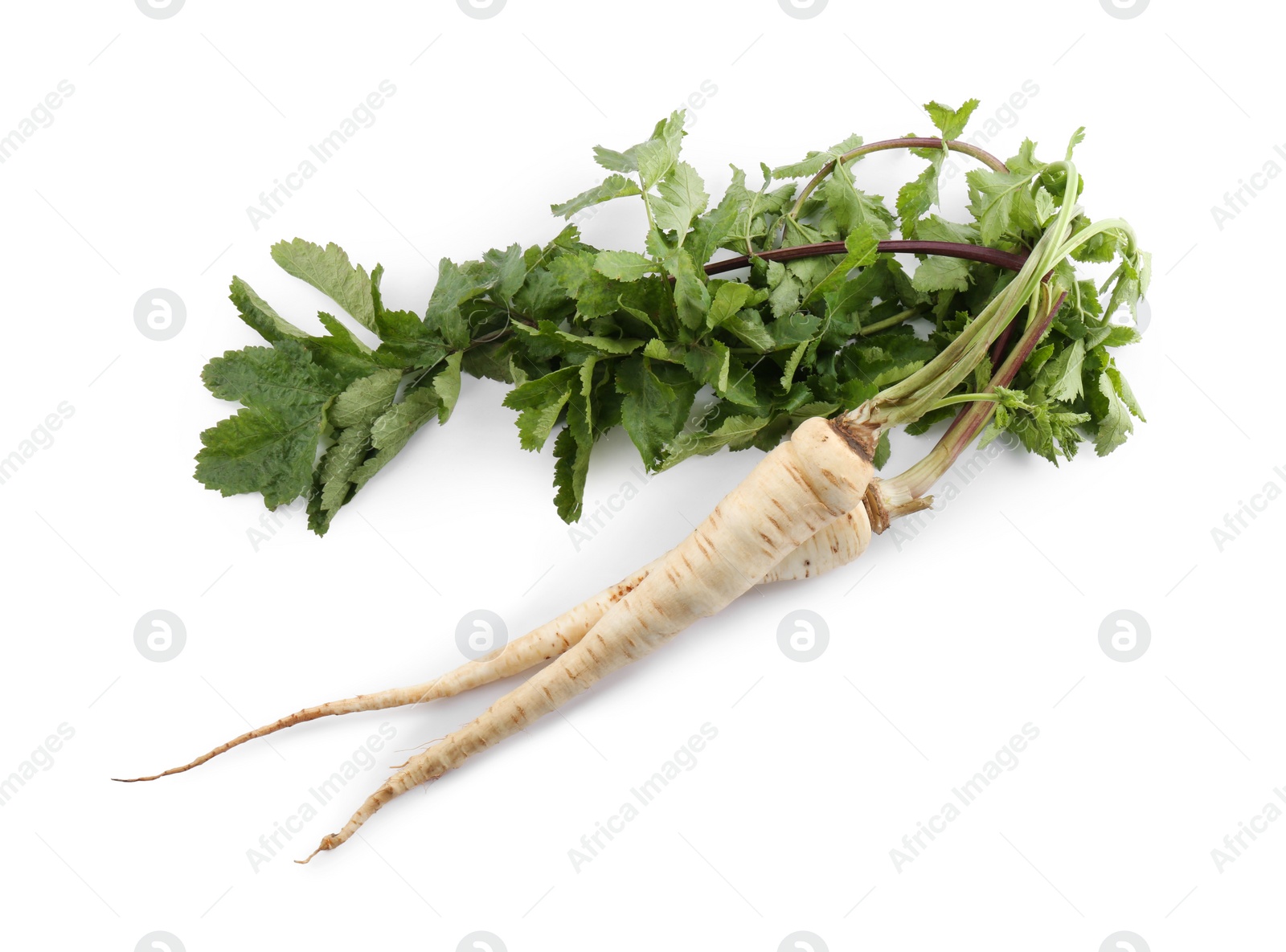 Photo of Tasty fresh ripe parsnips on white background