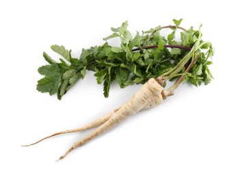 Photo of Tasty fresh ripe parsnips on white background