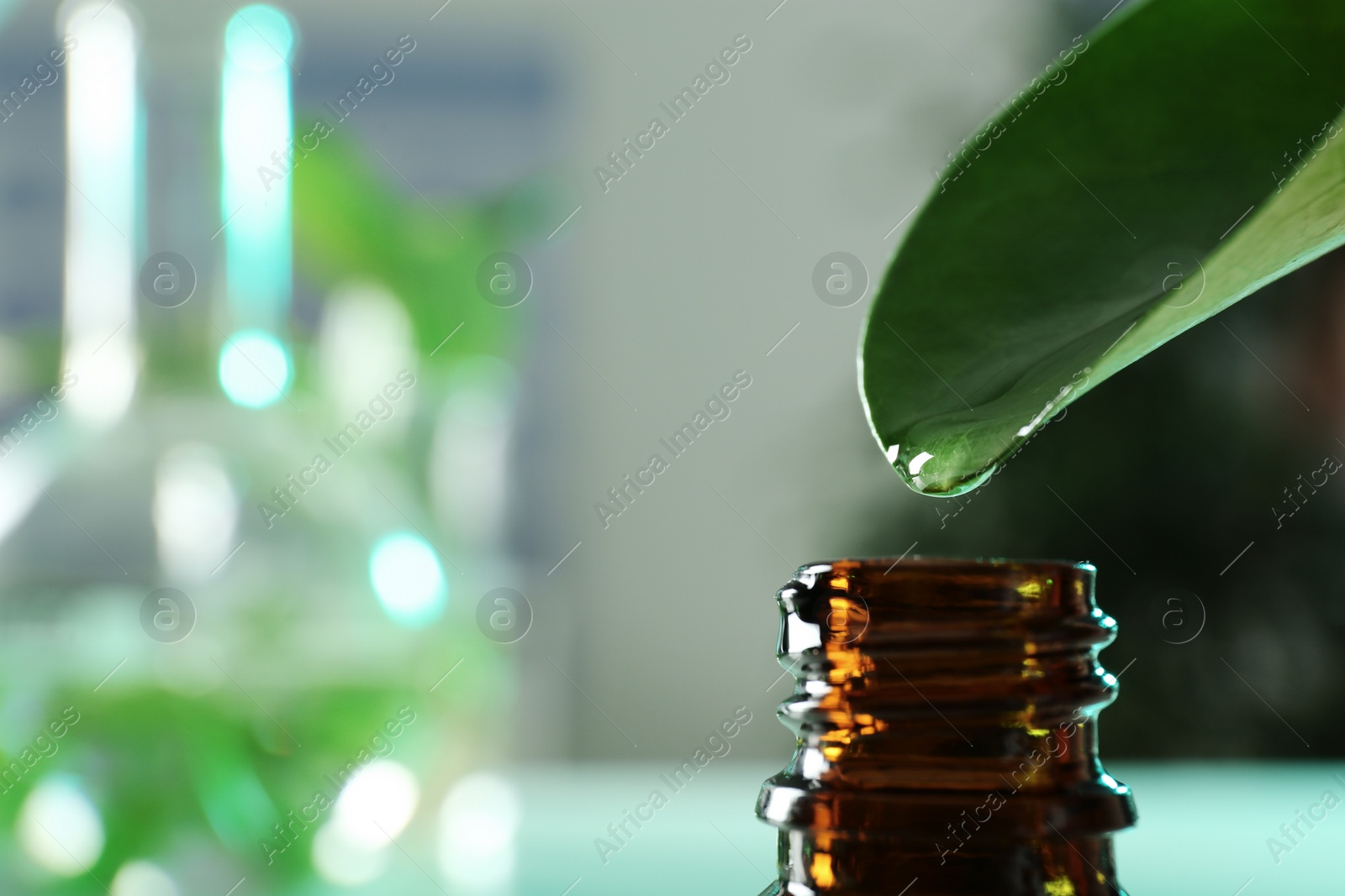 Photo of Clear drop falling from leaf into small bottle on blurred background, closeup with space for text. Plant chemistry