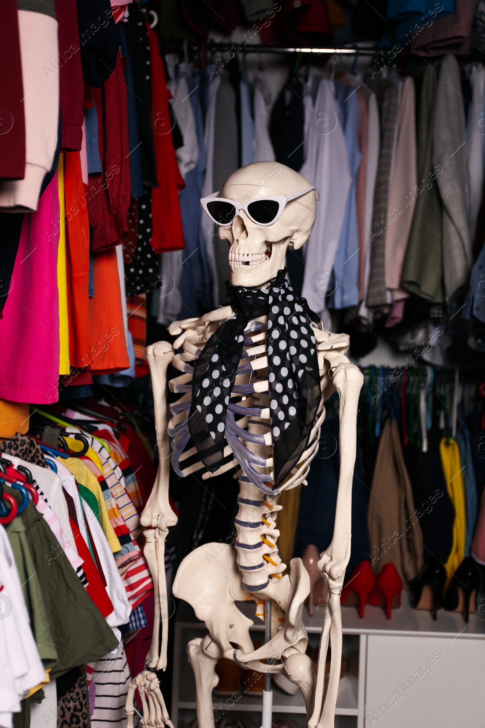 Photo of Artificial human skeleton model among clothes in wardrobe