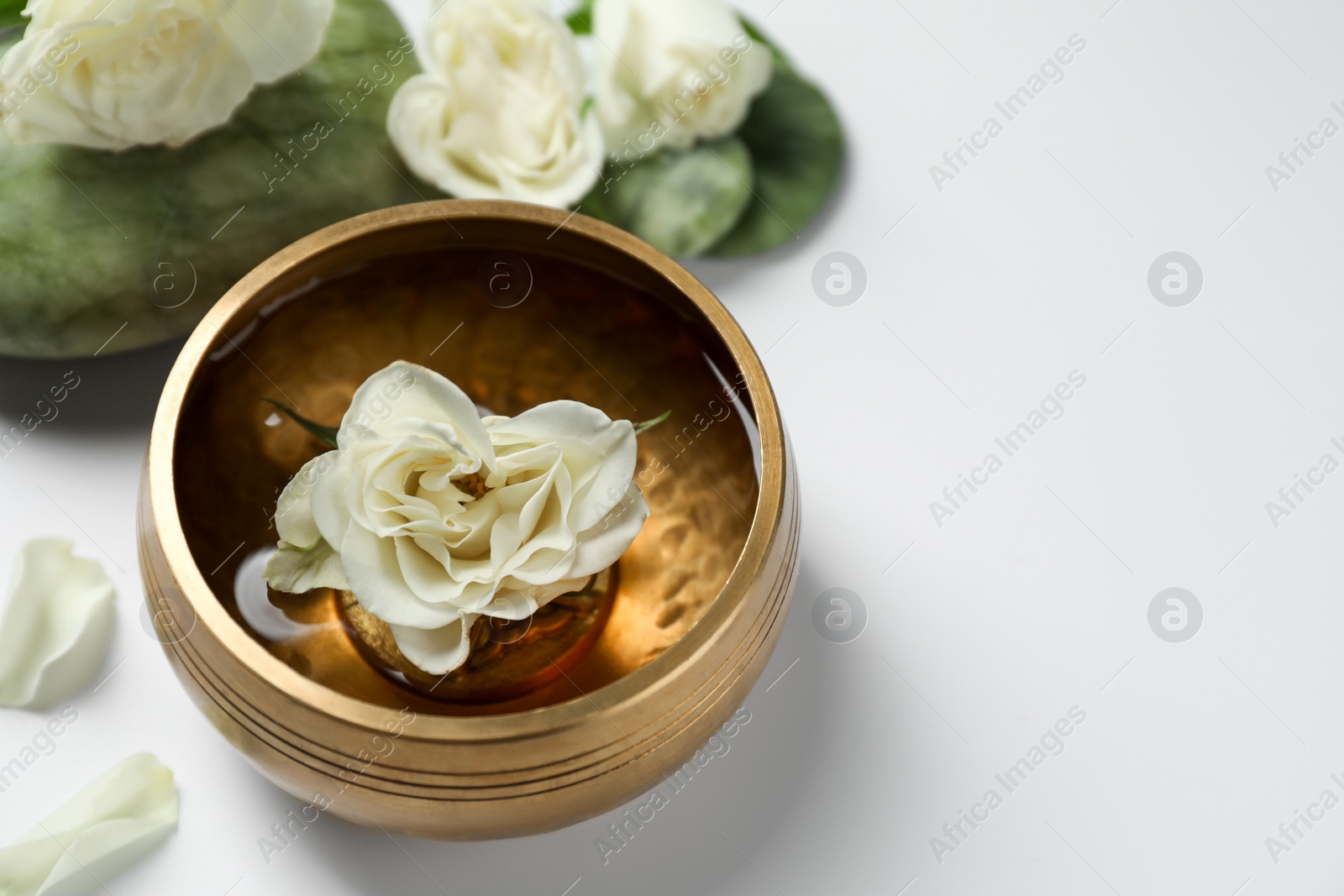 Photo of Tibetan singing bowl with water and beautiful rose flowers on white background, space for text