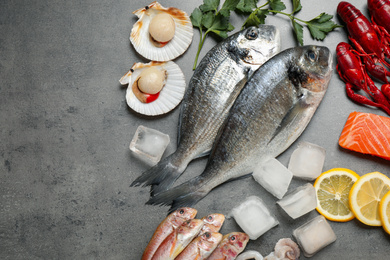 Fresh fish and seafood on grey table, flat lay