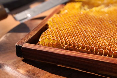 Photo of Uncapped honeycomb frame on wooden table, closeup