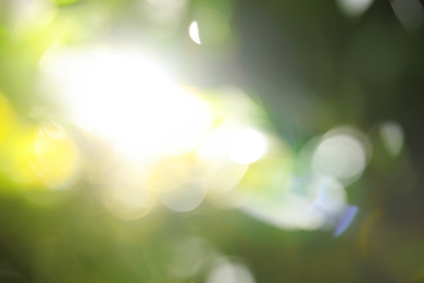 Photo of Abstract nature green background with sun rays, bokeh effect