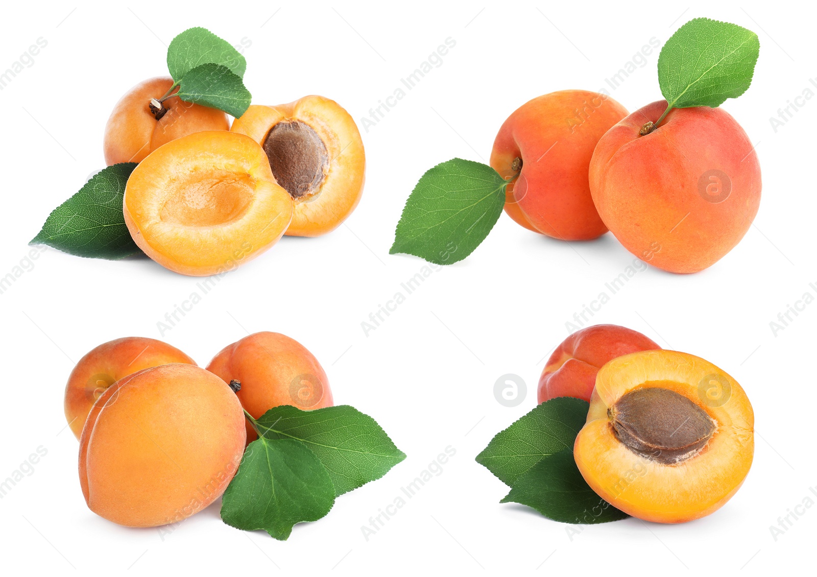 Image of Set of fresh apricots on white background