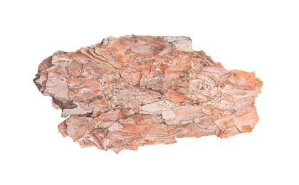 Photo of Tree bark piece on white background, top view